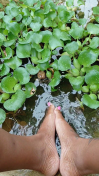 Chilling by the Water Lillies