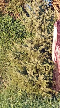 Granny Is Wearing a Sheer Bodysuit Outside