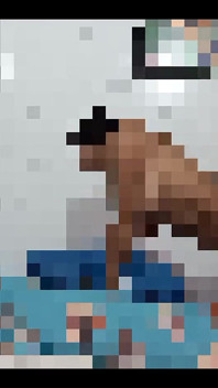 Moje venezuelská zralá sousedka souhlasí s nahráváním porno videa