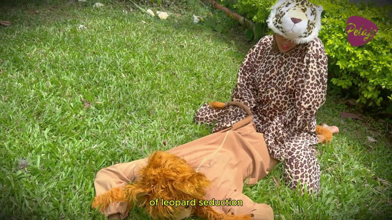 Pelaje mix: Natgio Mix Lion and Leopard Wild Sex Game