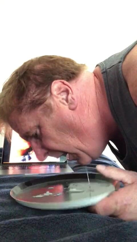 Califagforjass: Califagforjass come semen