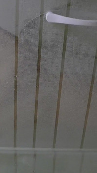 Immersed with a Slut in Her Shower!