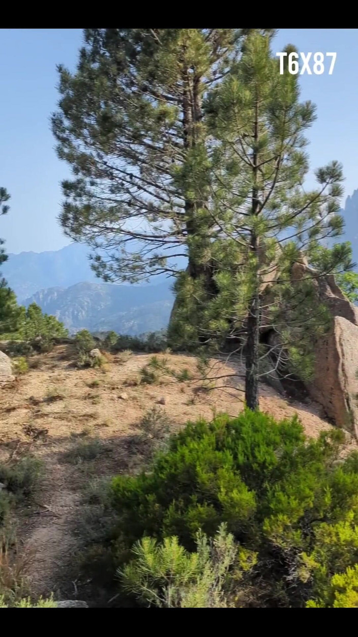 T6X87: What I Got up to My Hiking Trip