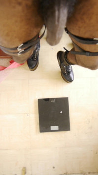 Weighing Your Black Fit Pony
