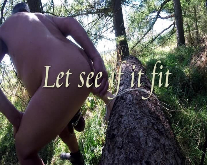 Andy: Toy in the Woods
