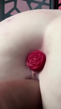 Tombul prenses belle makinesi sikiliyor