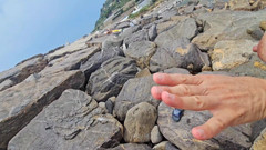 Ferrero anal experience: A Fisherman on the Rocks Wants to Give Me His...
