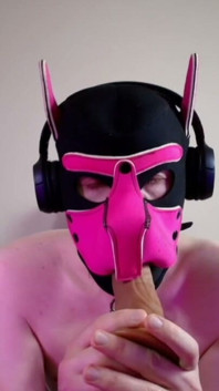 This Could Be Your Cock in Hound's Mouth