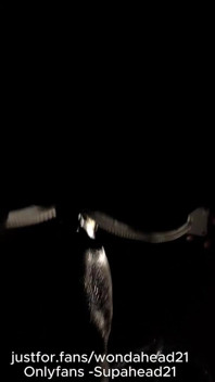 Pemujaan kontol besar pria kulit hitam di malam hari: nyepong kontol berisiko di tempat umum & ngentot tenggorokan