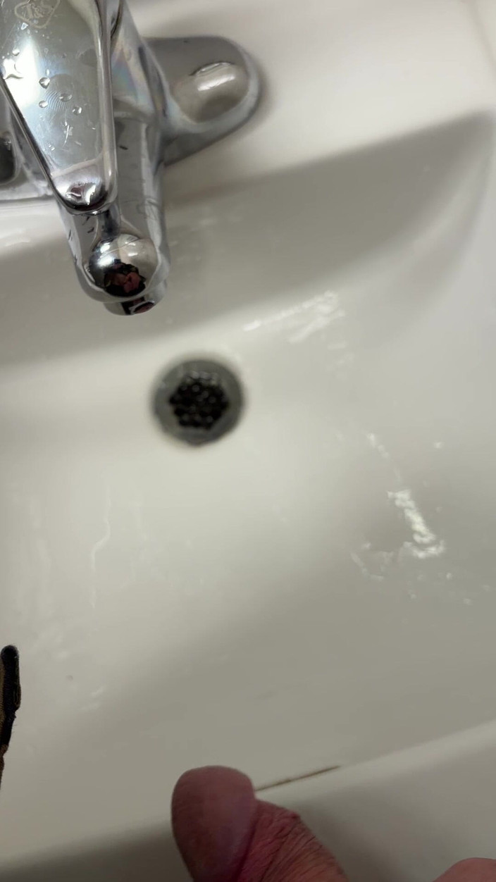 Tatted Daddy: Veřejné umyvadlo Piss