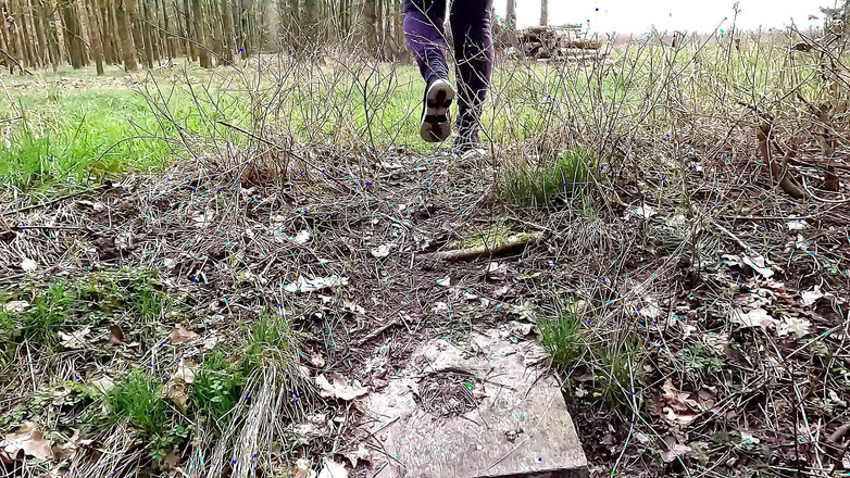 Bouncy Tits Action: Topless nella foresta - schiaffeggiando con forza le sue tette