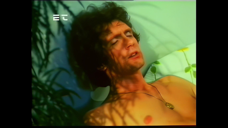 Rocco Siffredi and Friends: Penis dan vagina berbulu