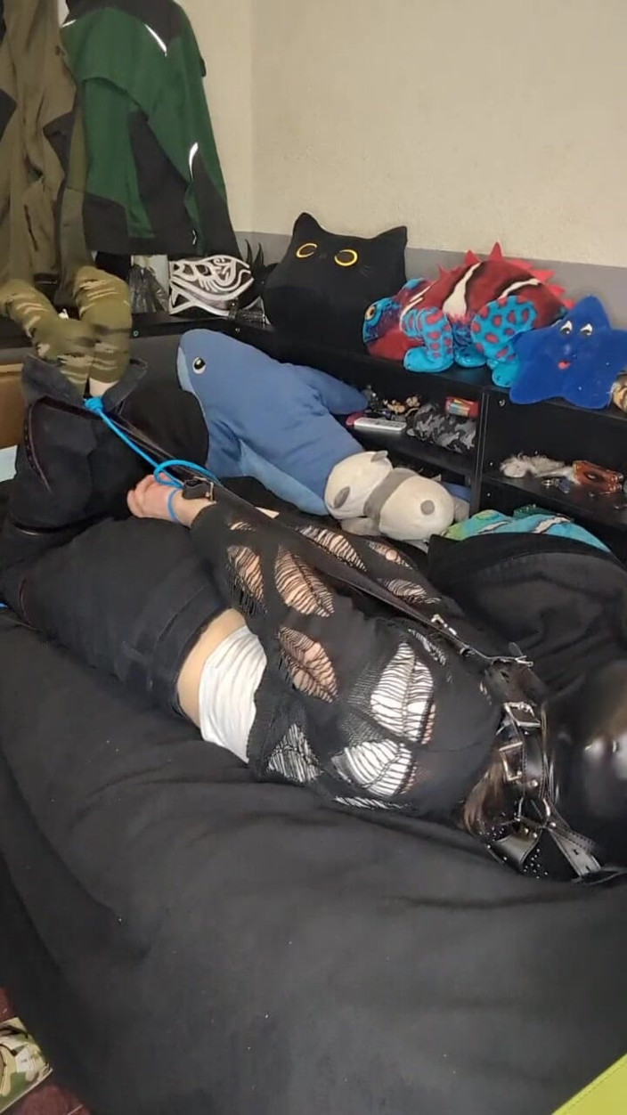 AJ_the_catgirl: Trying Head Harnes Hogtie