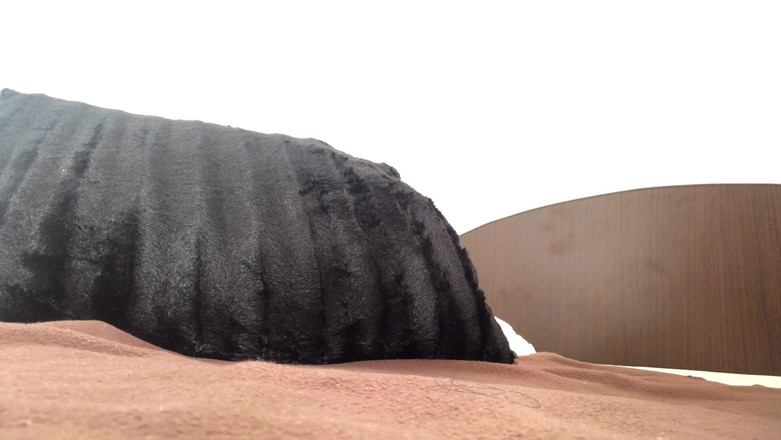 Ashamodel: Prstění s naolejovanou prdelí