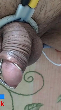 Divertimento pomeridiano di stima in 20260710