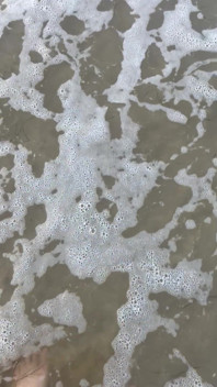 Walking on the Beach