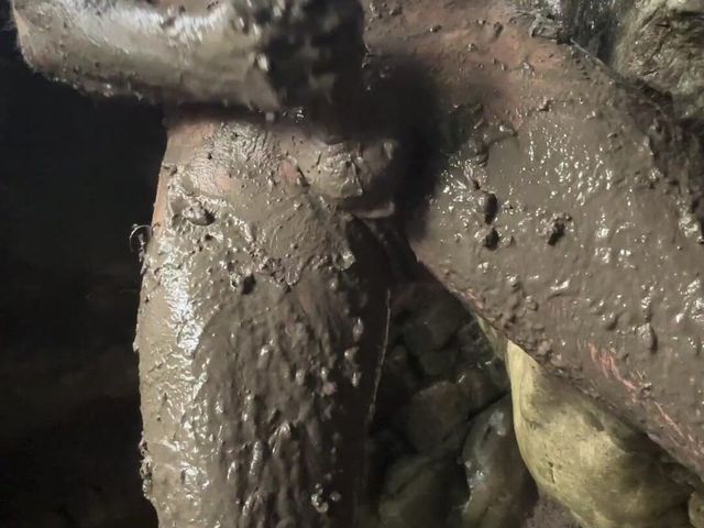 Playing Dirty in the Mud (Outside)