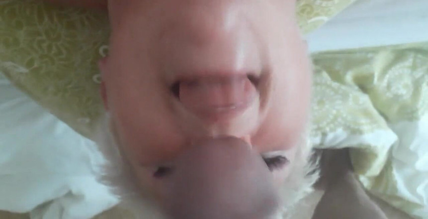 Uk Joolz: Tento chlap měl dnes obrovského ptáka