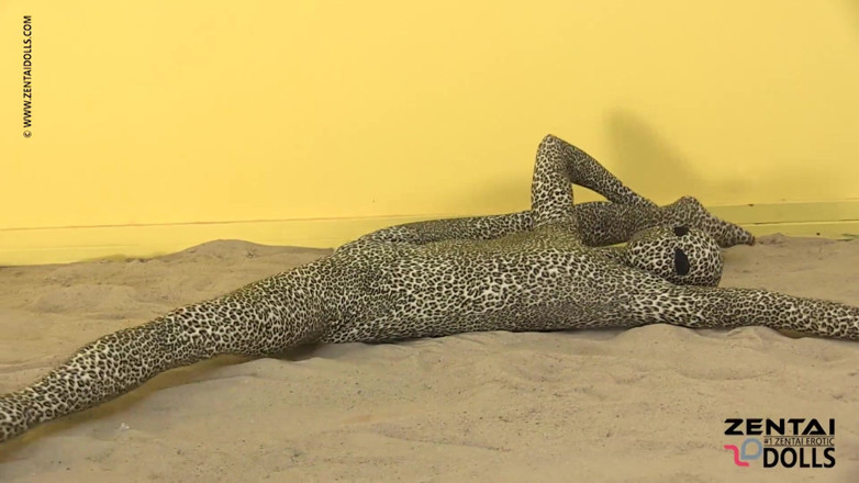 ZentaiDolls: Contortion Show