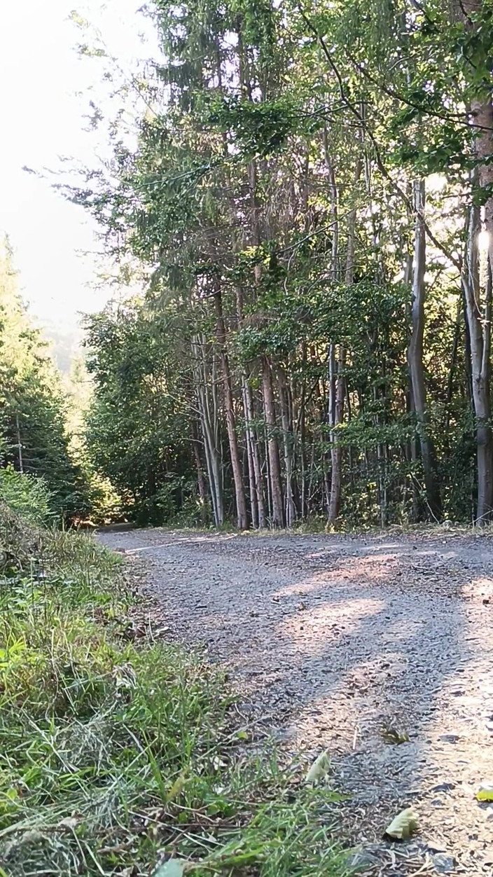 kickerscooter: Scooterrijder buitenshuis masturbatie