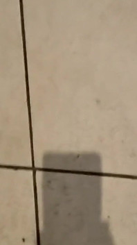 피스팅으로 비공개 비디오 4부를 요청한 팬