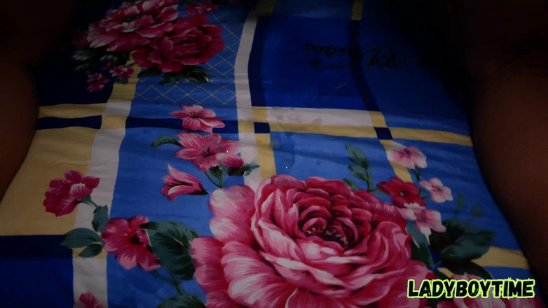 Lady Boy Time: Uimitoare cu țâțe mari ladyboy futându-se tare