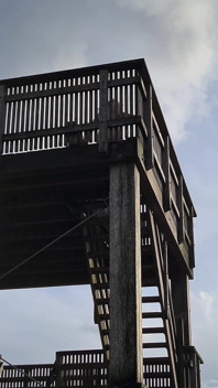 Dared to Strip Completely Naked and Walk to the Top of the Lookout Tower in Public