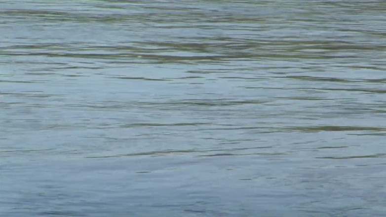 TuttiFruttiClub: Le casting de la jeune Rita River