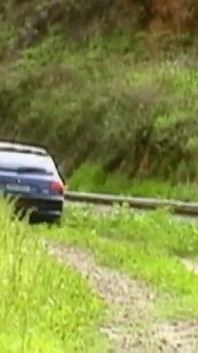 A horny young couple has sex in a car in the middle of nature