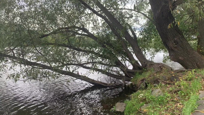 Claudia Macc: Draußen pissen-