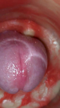 Cum Without Sperm. Excellent Internal Camera. 4K