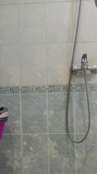 Shower Dick 2