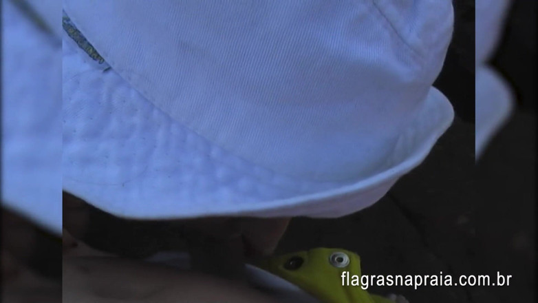 Amateurs videos: Brazilian brunette sucking partner's dick on the beach