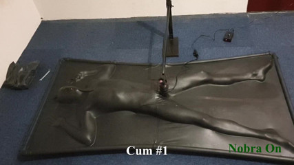 NL Milking: Vacbed and Nobra with timer