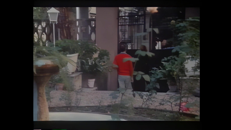 Vintage Megastore Full hd: Pelacur pelacur tamak yang tidak akan berhenti makan