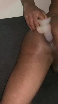Ass Ass Ass