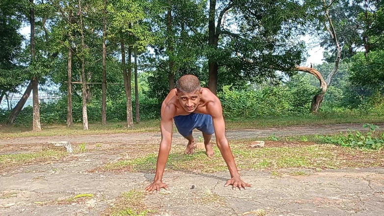 LinearOrnament35: 100 Push up Challenge Live Purup