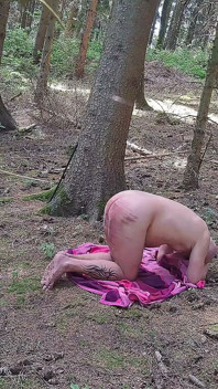 Batendo na Floresta 2