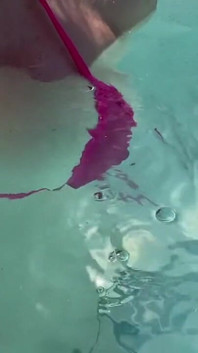 Artemisia Love Showing Her Perfect Tits in a Micro Bikini Underwater