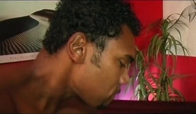 Black Sinner: Kongkek antara kaum dengan MILF seksi dalam stoking hitam yang...