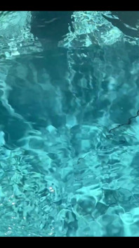 Dangerous Creature in the Water