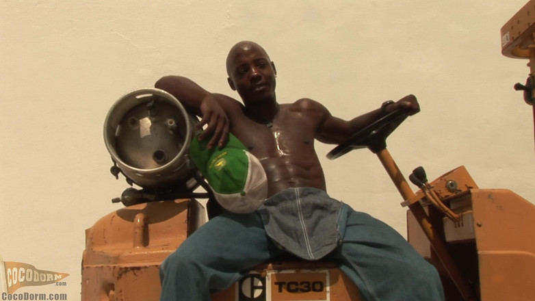 CocoDorm: Alex Flex 2