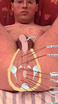 Mano con lo speculum anale masturbazione