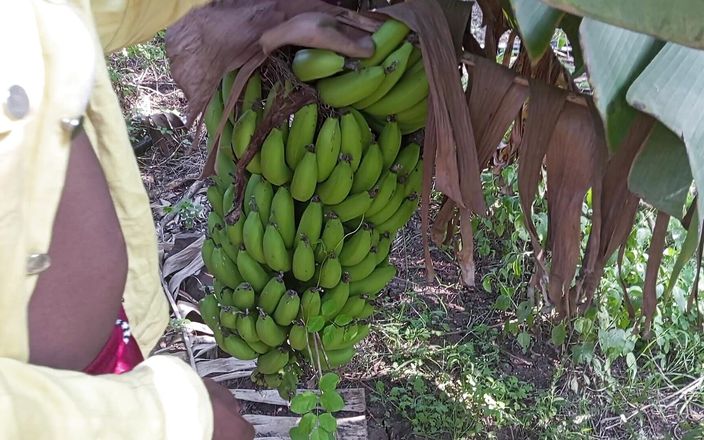 Indian Hijraji: Indiana Transsexual e Boyfrends fazem sexo em Banana Garden