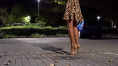 A Walk in Fake Cum with Cervin Stockings