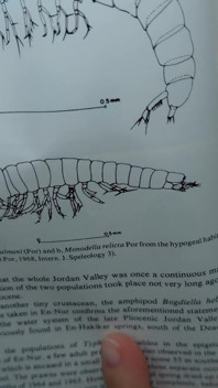 Kitap okumak istiyordum ama kocamın başka planları vardı