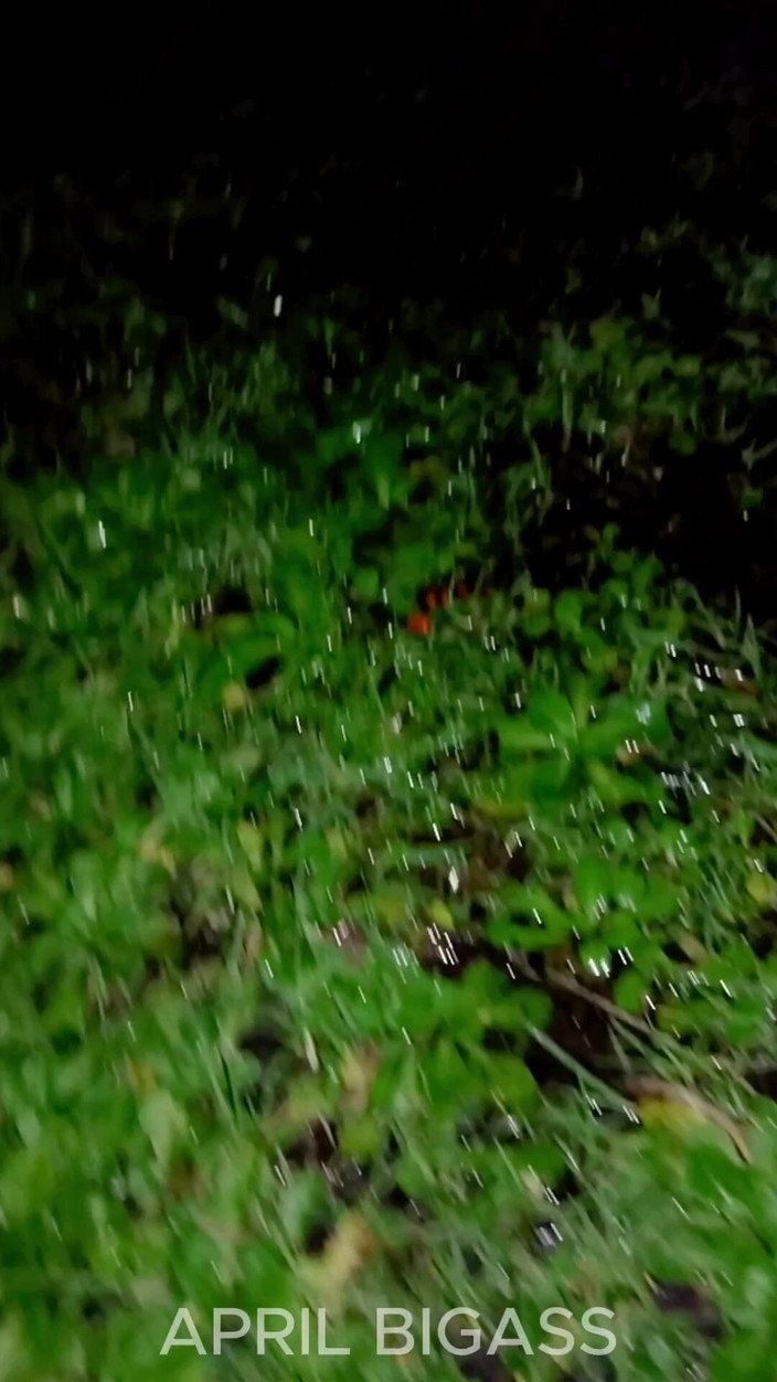 April BigAss: Trójkąt sika na ulice Argentyny, Mar Del Plata, 2 dziwki razem !!...