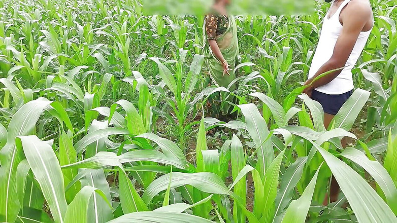 Fuckkkker: バビの義兄の黒くて太いチンポが来て犯されました、トウモロコシ畑でのバビのセックス野外ヒンディー語オーディオ