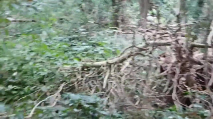 Real homemade BBW BBC porn: WildEnglishBBW BBC Nata4sex - Forându-mi pizda în aer liber cu ejaculare pe...