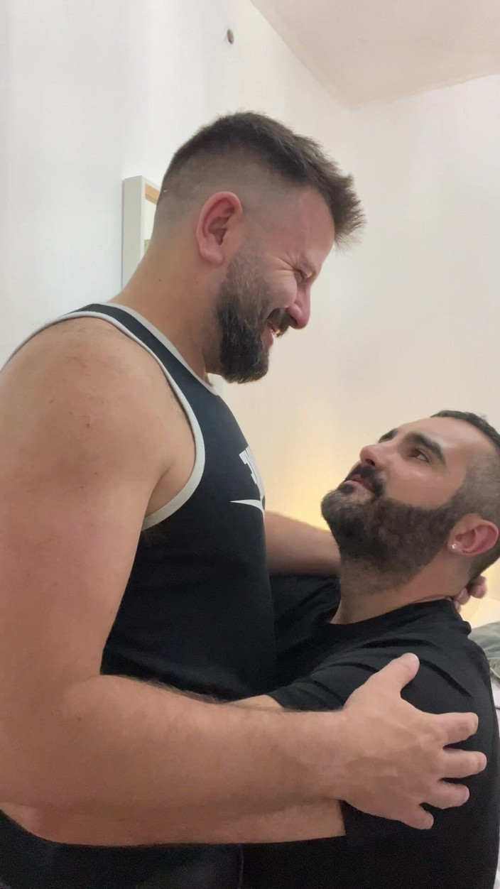 Growing teddy: Italienische Und Spanische Bären Küssen Sich